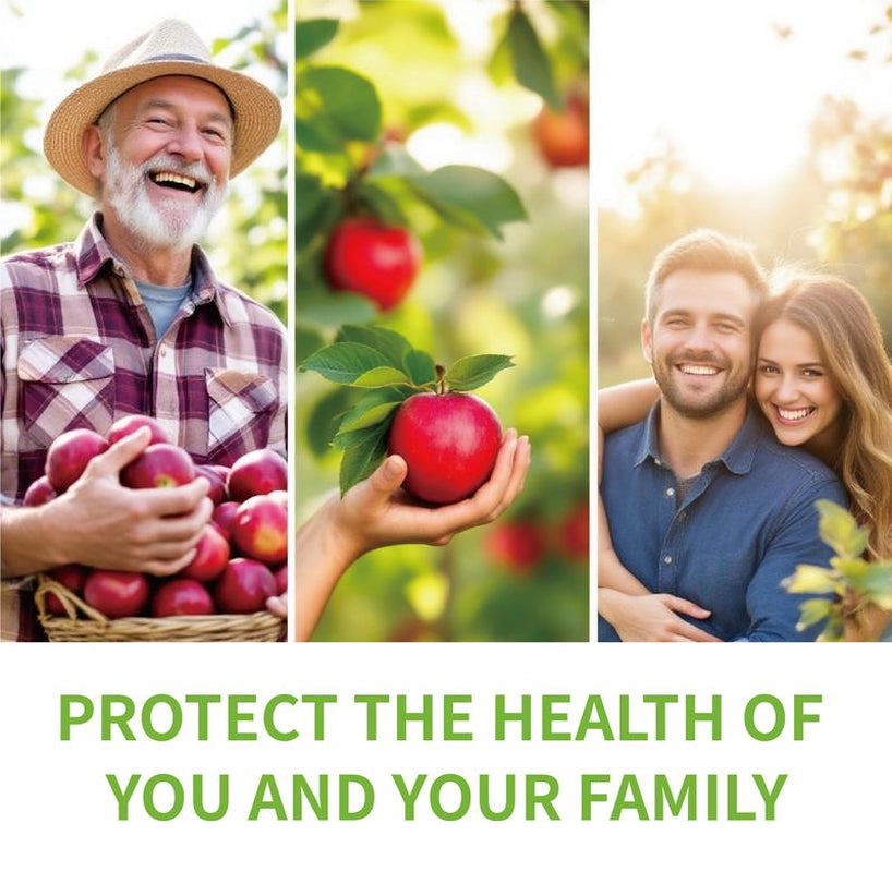 (Re Lierre Official 1 Pack 60 Caps)Apple Cider Vinegar Gummies with Vitamin B12 for Normal Energy Levels and Gut - Dietary Supplement